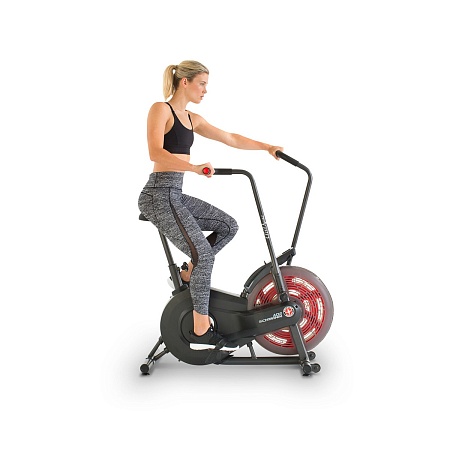 Велотренажер Schwinn Airdyne AD2i, air bike (100430) Велотренажер Schwinn Airdyne AD2i, air bike (100430)