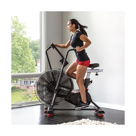 Велотренажер Schwinn Airdyne AD8, air bike (100475)