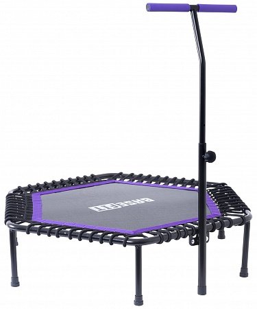 Батут Basefit TR-401 101 см с держателем Батут Basefit TR-401 101 см с держателем