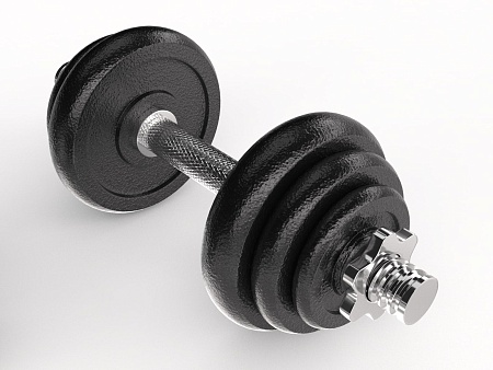 Набор гантелей и штанга UNIX Fit в кейсе 50 кг Набор гантелей и штанга UNIX Fit в кейсе 50 кг