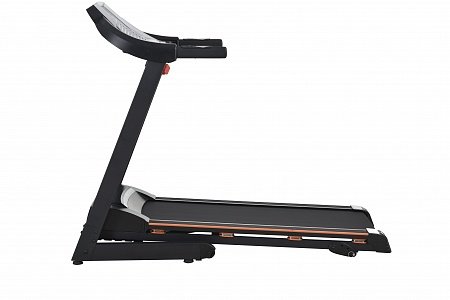 Беговая дорожка Royal Fitness RF-5