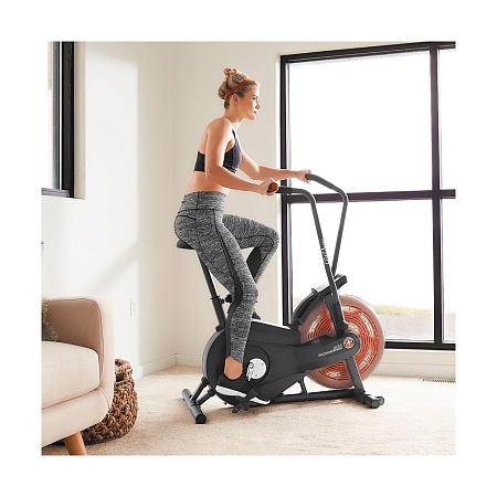 Велотренажер Schwinn Airdyne AD2i, air bike (100430) Велотренажер Schwinn Airdyne AD2i, air bike (100430)