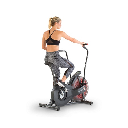 Велотренажер Schwinn Airdyne AD2i, air bike (100430) Велотренажер Schwinn Airdyne AD2i, air bike (100430)
