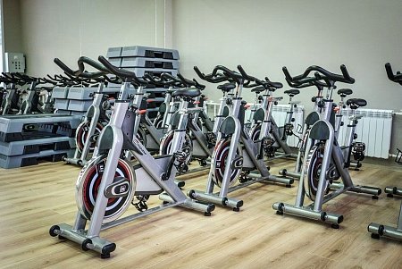 Сайкл-тренажер AeroFit PS300E Сайкл-тренажер AeroFit PS300E